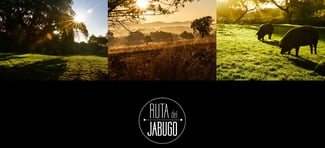La ruta del jamón de Jabugo
